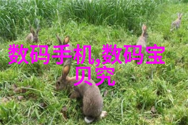 家居美学主卧室的温馨空间设计