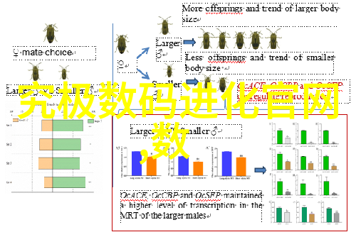 市场的无形织网欲望与供给交错的梦想地图