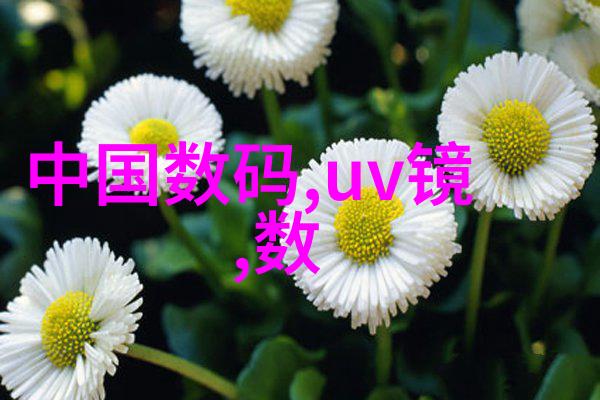 城市清洁行动政府与企业合作推动回收运动
