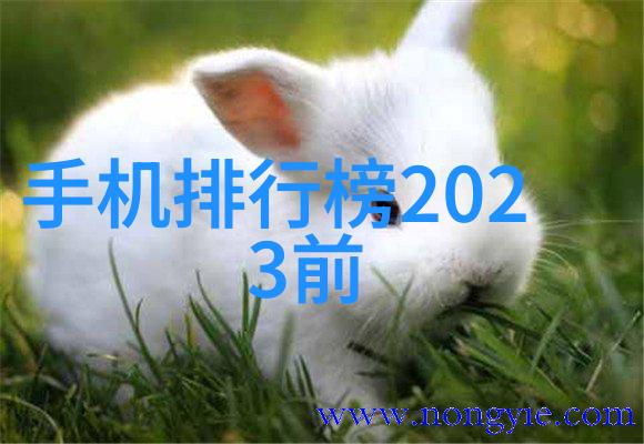 不锈钢填料金属之心生活的缤纷