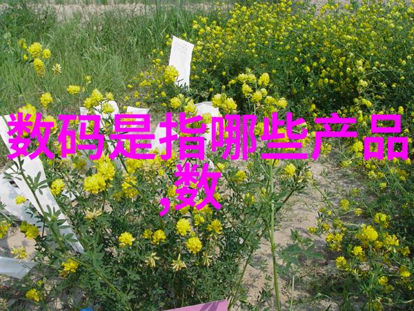 防疫消杀报价表一平米多少钱我来告诉你这份报价表上的数字是怎么回事
