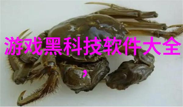 装饰篇章创意构筑的简约舞蹈