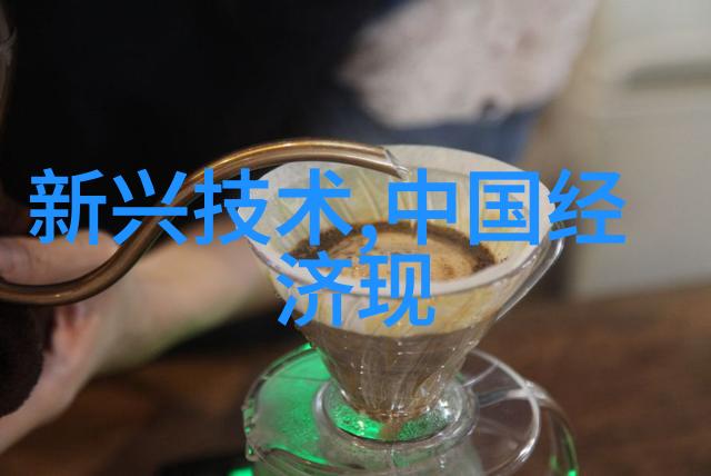 法国投资200亿美元发展高速宽带