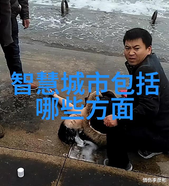 装修施工组织设计的关键要点与实践指导