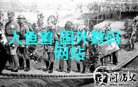 在哪个购买数码产品的网站能买到最IN天龙九声道功放X3700搭配Polk OWM搞定Denon X3