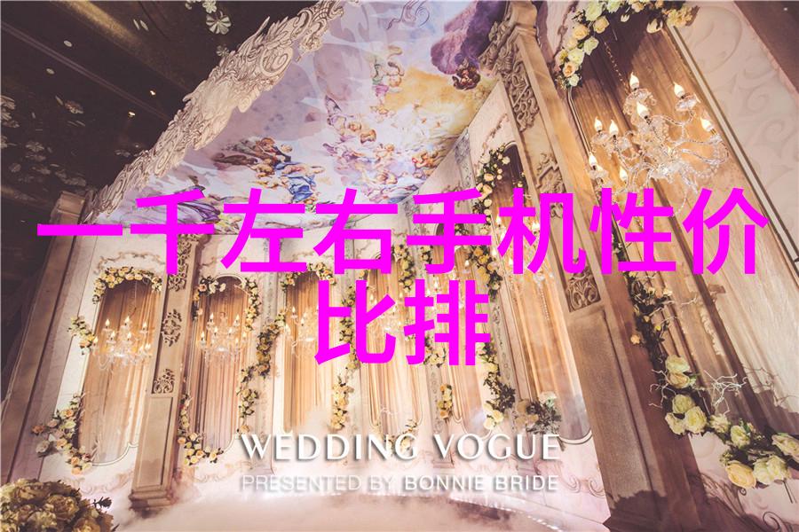 中国男同志文化中国男同志社区的风貌与影响