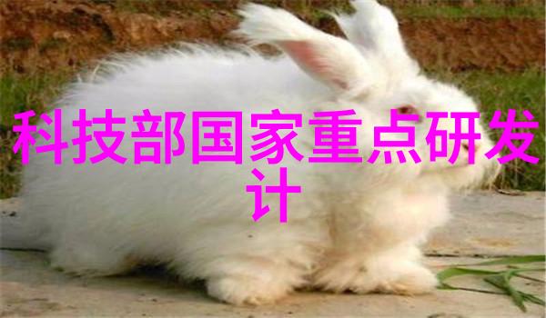 最有实权的十大部委我来告诉你这些幕后黑手是谁