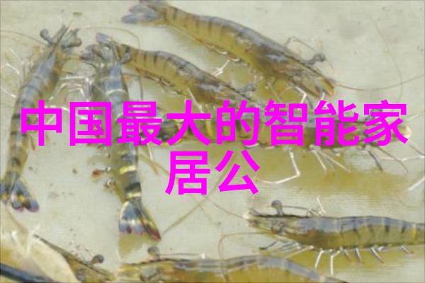 金属精炼技术革新铜铁分离机器设备的发展与应用