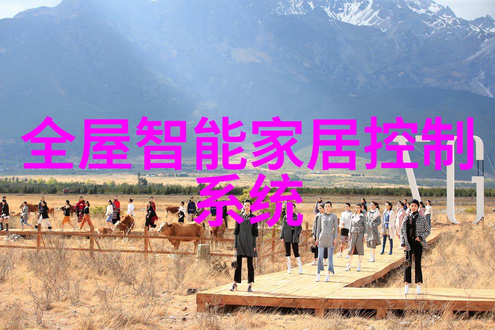 家庭空间的微妙变革局部改造装修的艺术探索