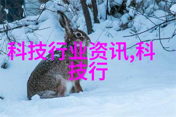水电工的秘密考验解锁流淌在暗渠中的证书之谜