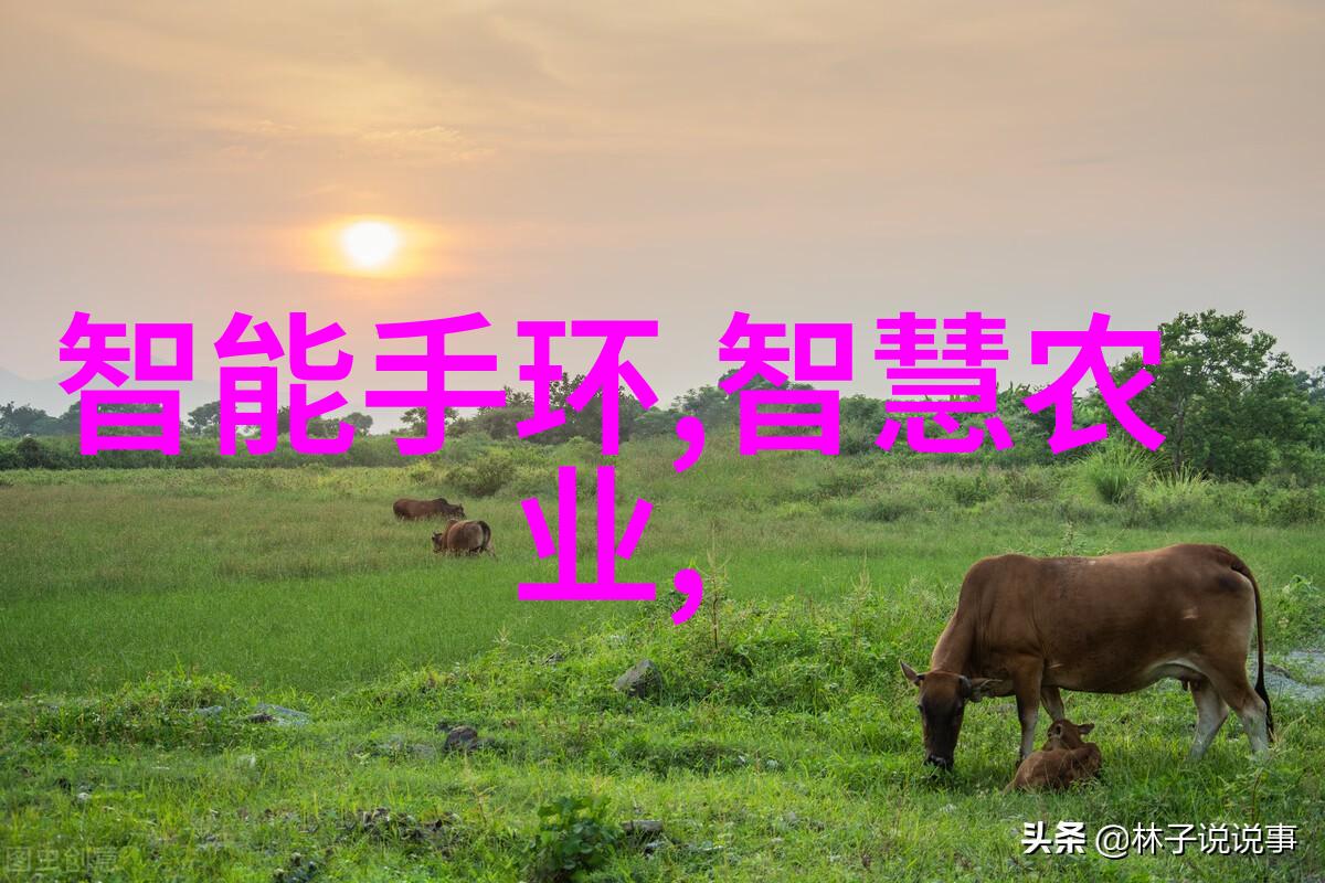 深圳信息职业技术学院新时代的教育旗舰与创新驱动者