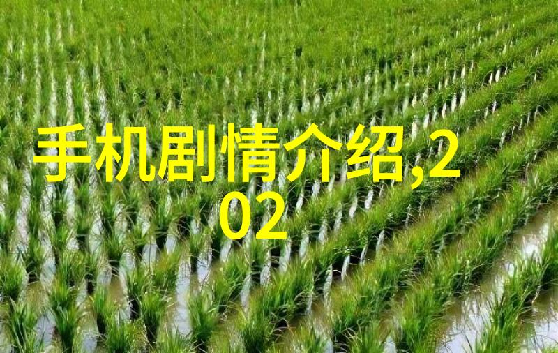 结婚五金的选择与用途