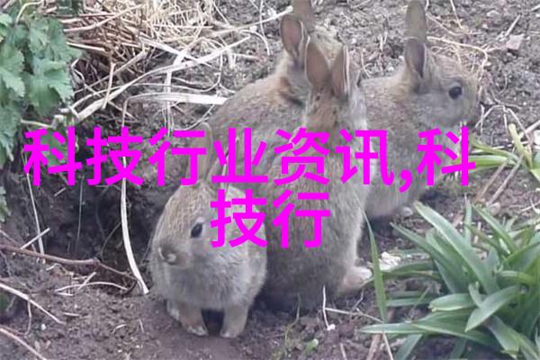 化工胶囊剂机械精细制造的守护者
