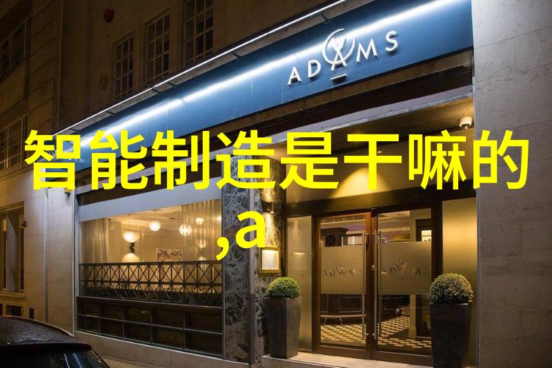 项目实施可行性评估报告深入分析项目的实际执行可能性