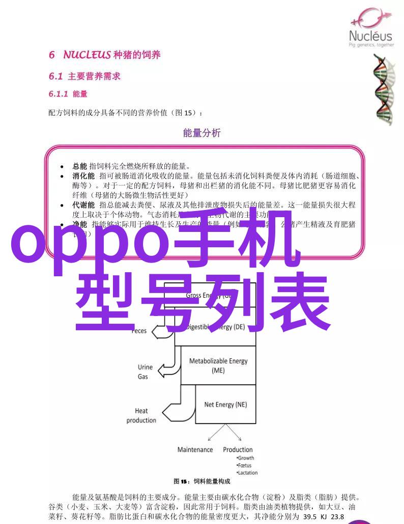 晓星孤屿探秘一个被遗忘的海岛