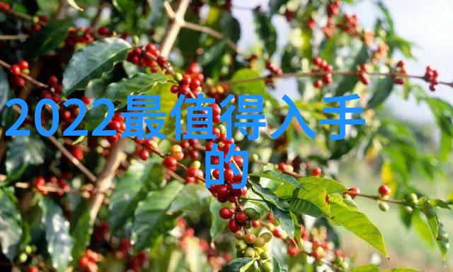 仪器有哪些探索科学实验室中的必备设备