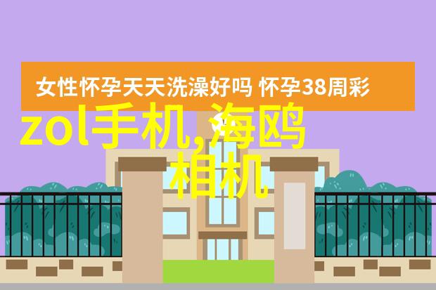 不锈钢喷头耐腐蚀的水力艺术家