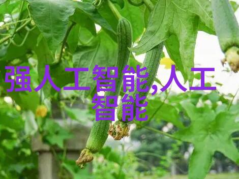 不锈钢价格走势市场动态与投资策略