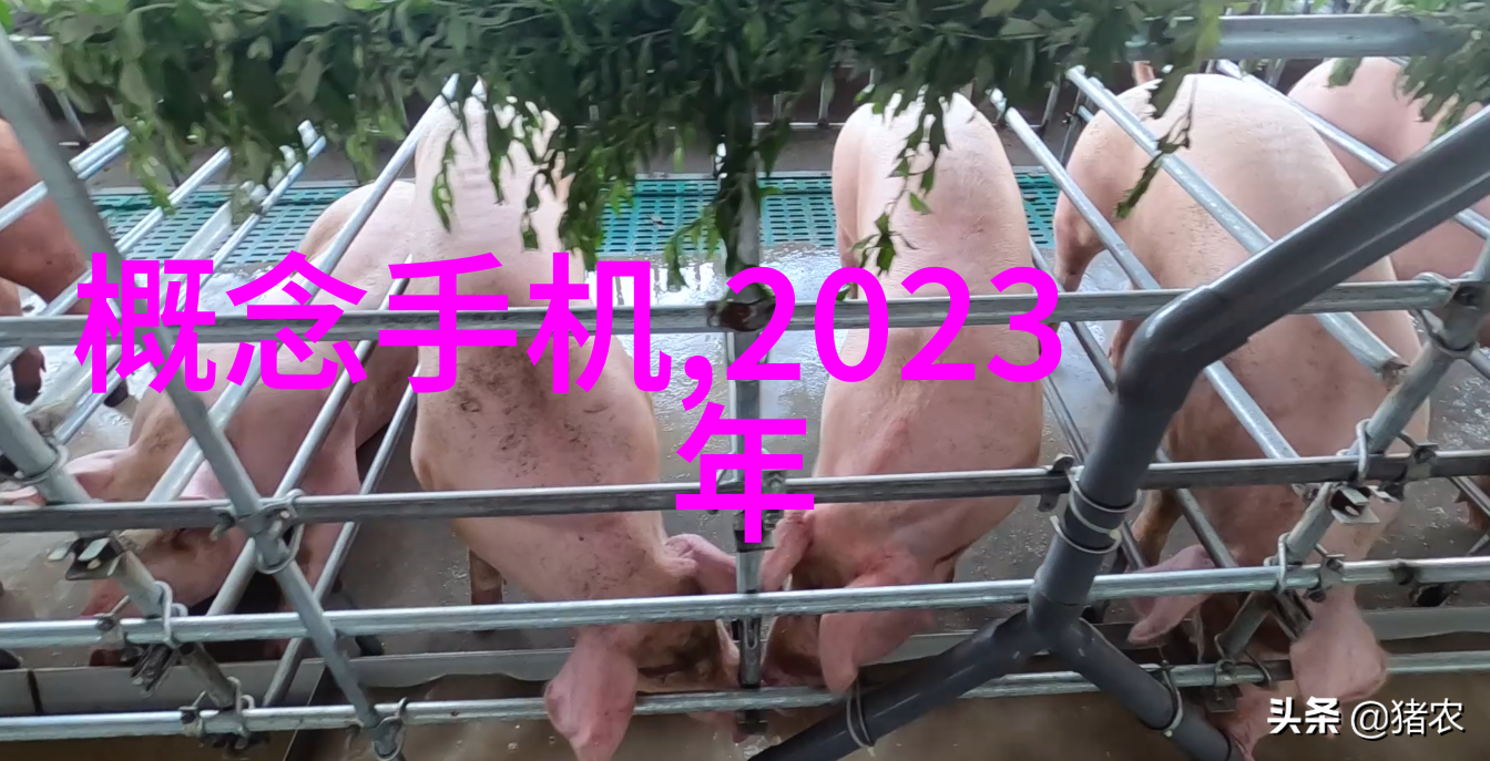 环保建材-节能减排的智慧探索高效保温涂料的秘密