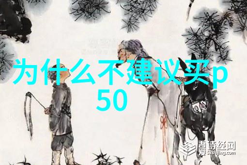家用不锈钢货架之谜隐藏的秘密与消失的物品