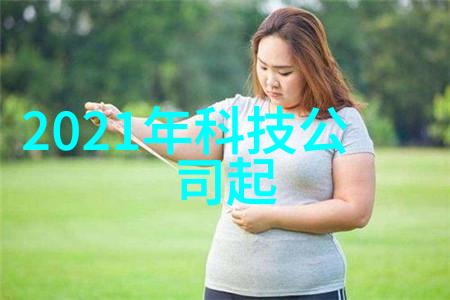 不锈钢金属丝网填料坚固耐用的隔音与过滤解决方案