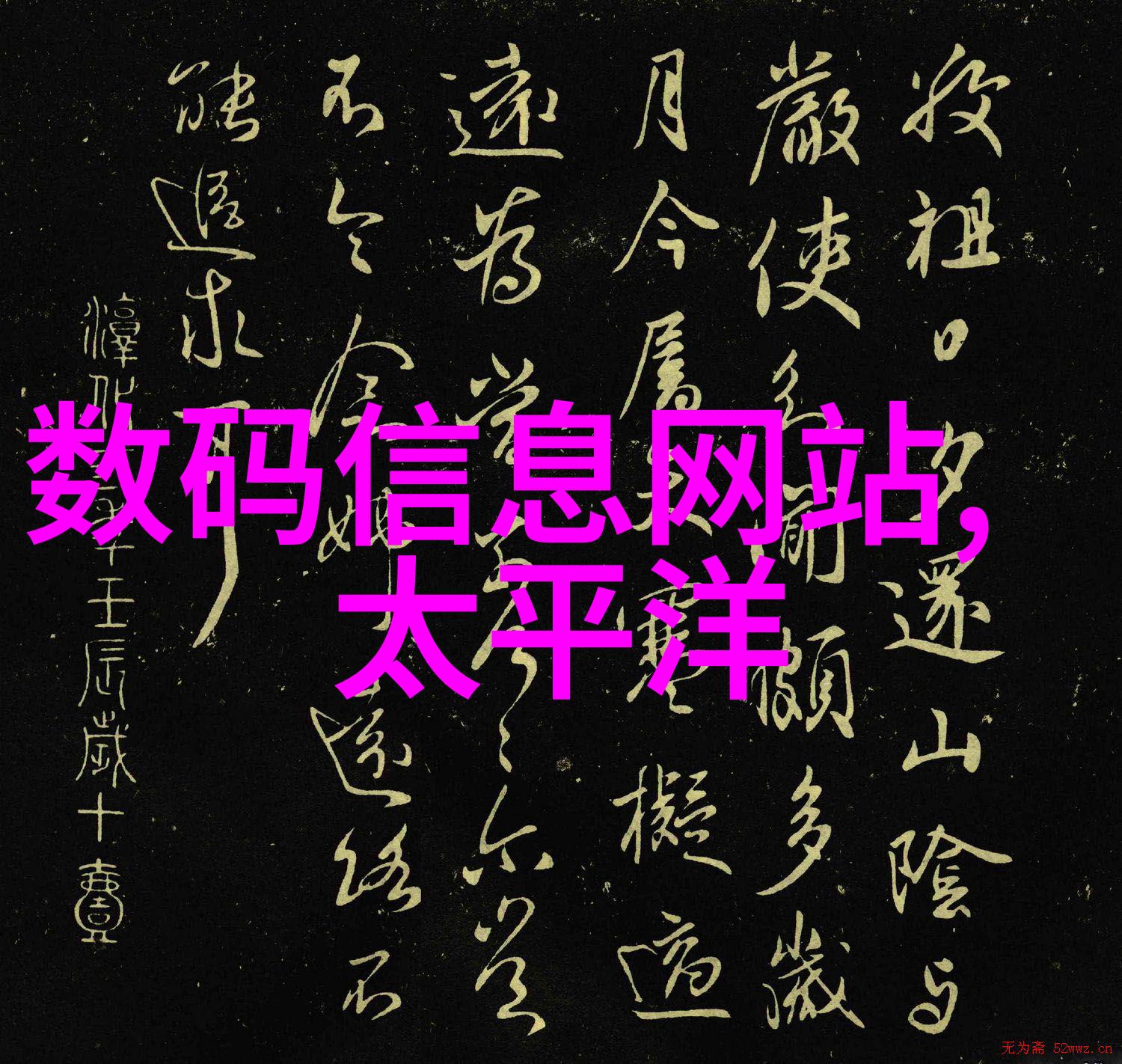 压片机自动装填系统高效智能化压片机技术