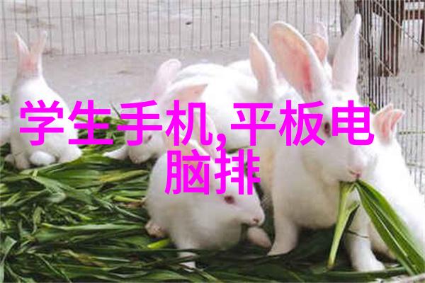化工胶囊剂机械生产线优化提高效率与产品质量的关键技术