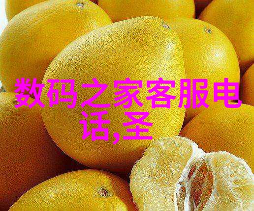 从基础到创新学习如何自制简单型号的原理介绍及步骤指南