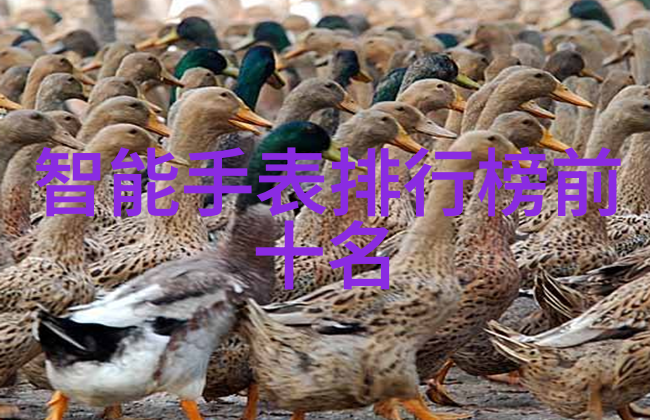 医疗纯化水设备确保诊疗环境的清洁与安全