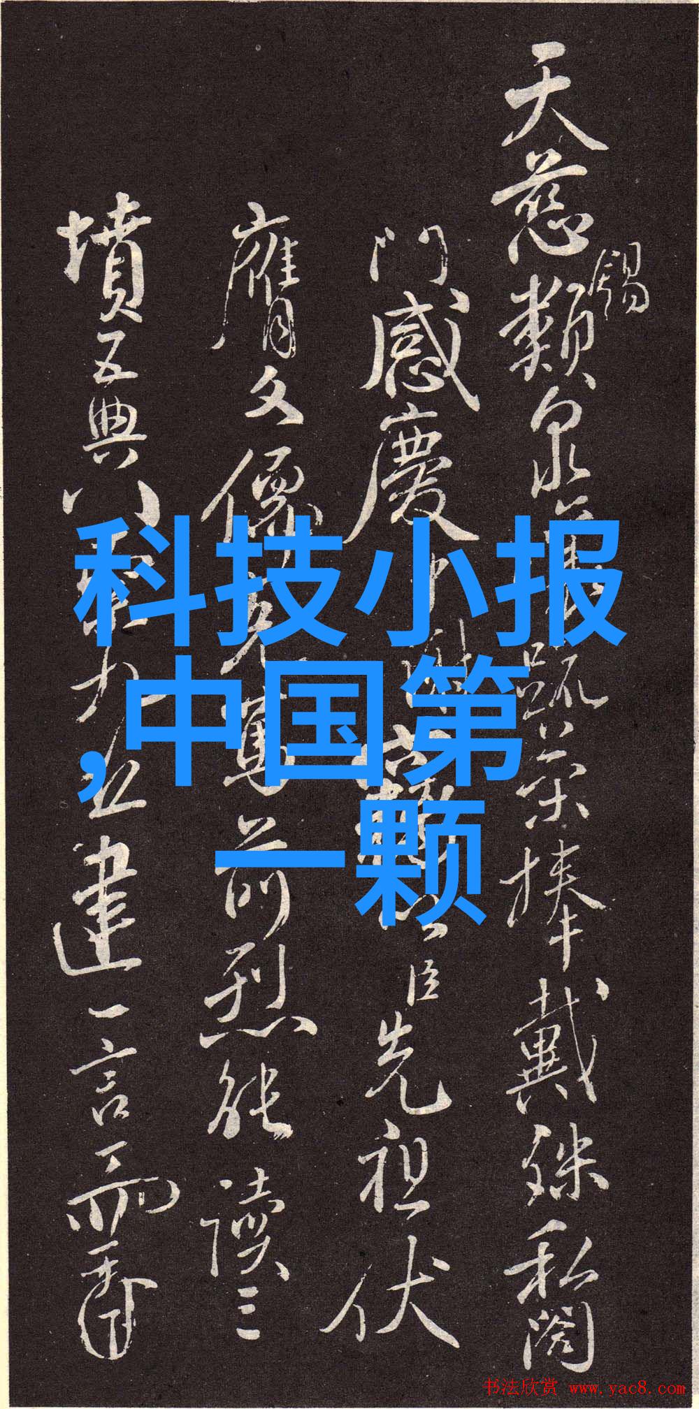 JavaScript API (JavaScript应用程序编程接口)