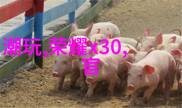 什么是可再生资源回收电缆在其中扮演什么角色
