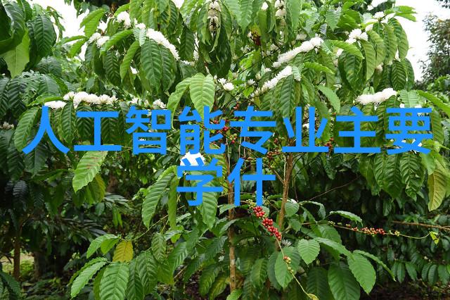 家庭图片客厅 - 温馨回忆如何打造一个充满故事的家庭图片客厅