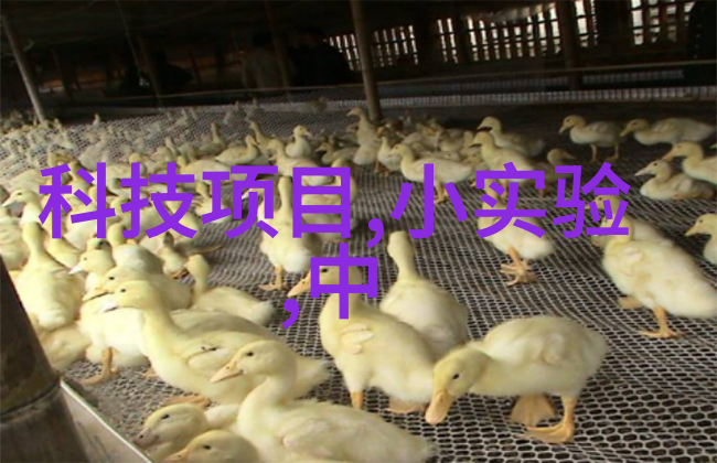 如何评估管式离心分離機的性能和效率