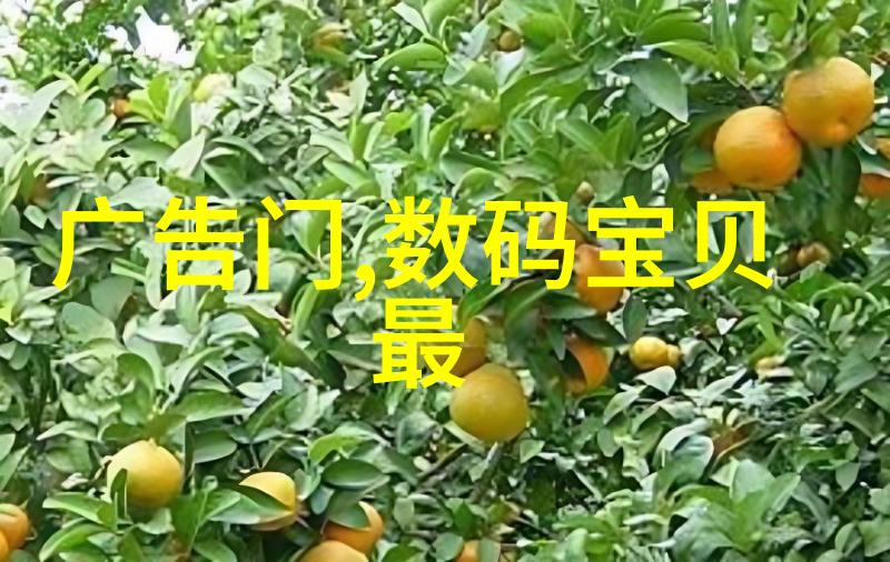 水利工程八大基本建设程序保障河流之治的关键步骤
