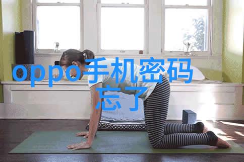 家居装修指南从规划到完工的注意事项及实施顺序