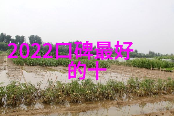 抗疫新招医生们揭秘三大药物的奇效