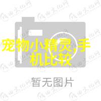 西部财富的智囊团兰州财经大学