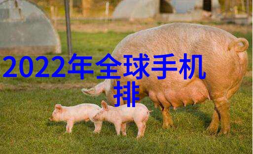 色彩搭配室内装修设计图中的视觉魔力