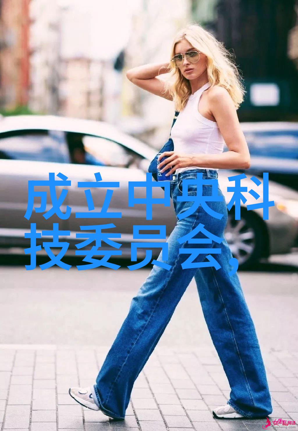 闪耀的暗影不锈钢金属丝网填料的隐秘面纱