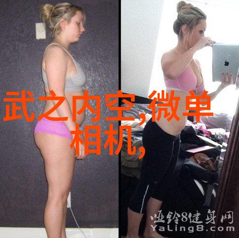 主题我来告诉你什么是ldb70脉冲袋式除尘器