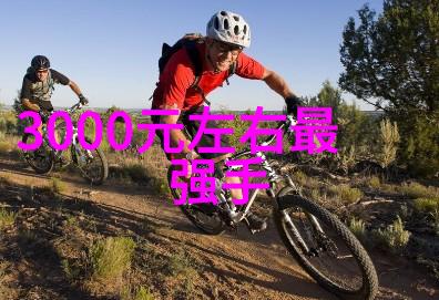 高效筛选机精准分拣的关键技术与应用