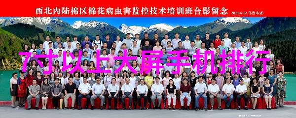 家里装修需要注意什么 - 装饰艺术与实用功能的完美结合