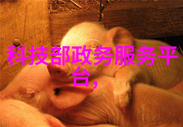 金丝帐poH我在金丝帐下偷窥的秘密