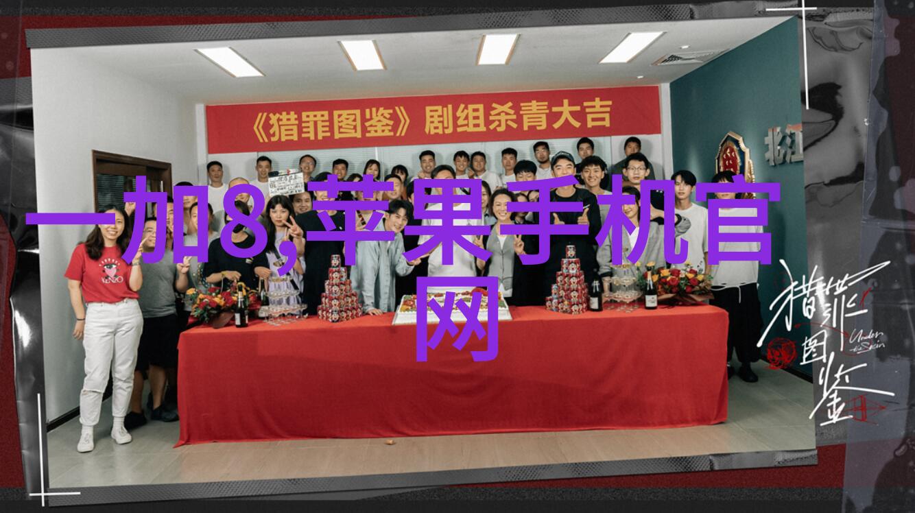 固定床反应器设计高效合理的固体催化剂固定技术