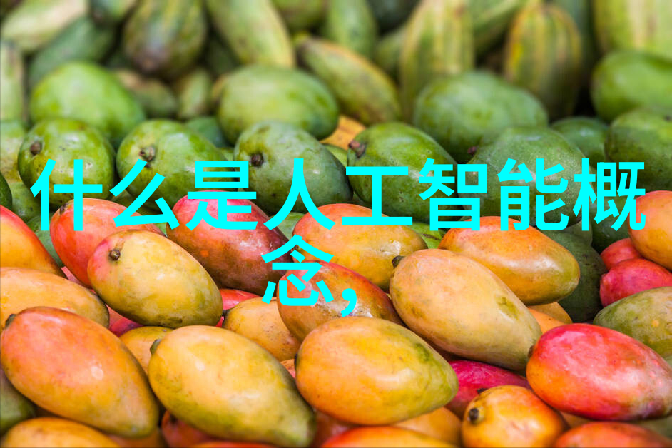 人工智能监控系统效率与隐私权之间的博弈
