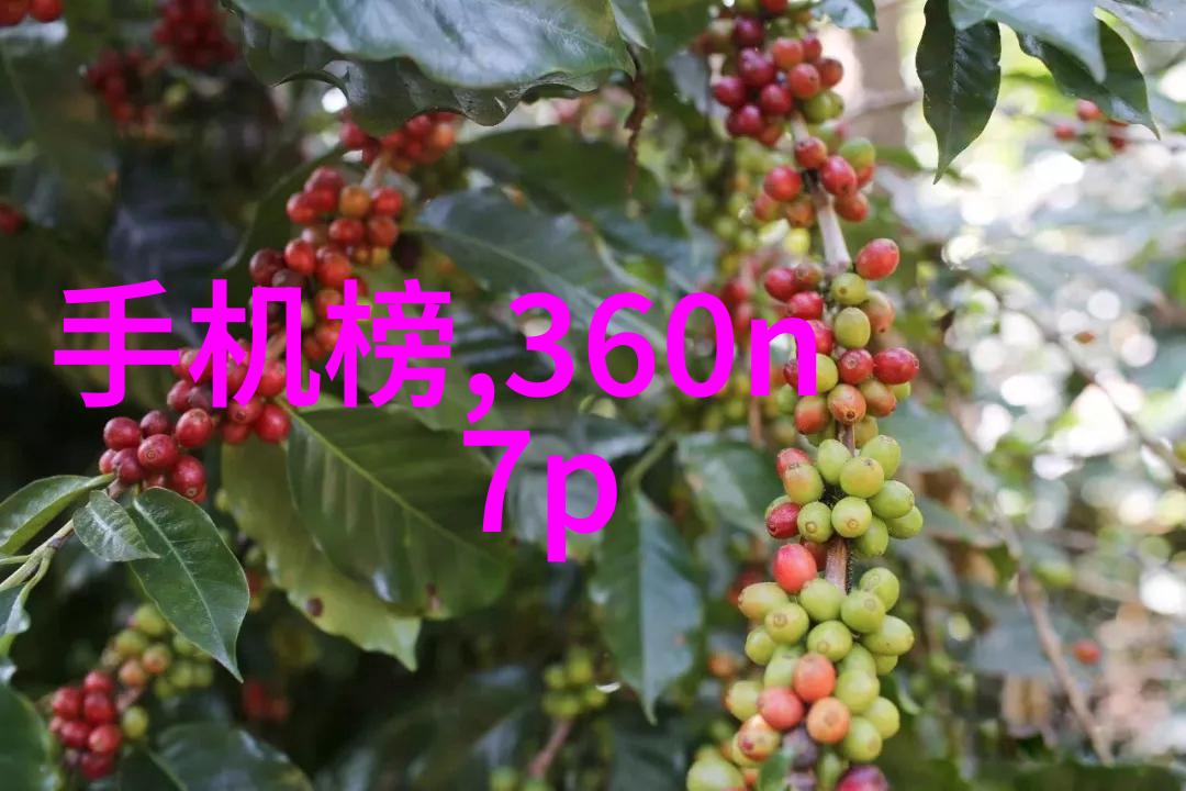 家用乐趣碗盘清洁新姿势
