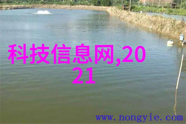 家居生活我眼中的美最新家装效果图片大全
