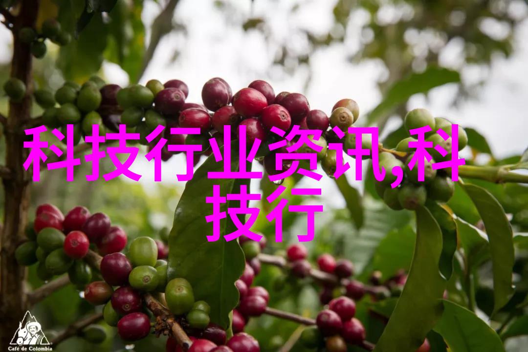 反应釜温度计长度-测温精准探索反应釜内温度计的最佳尺寸