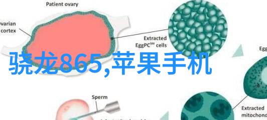 填料的选择与使用之道