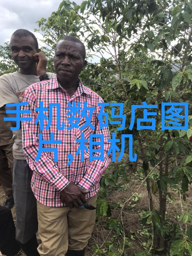 塔中之秘探索填料塔的奇异物质